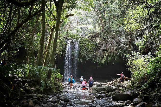 Waterfall & Rainforest Hiking Adventure with Hotel Pickup - Getting there: hotel pickup, Paia passing, and Ho’okipa lookout time