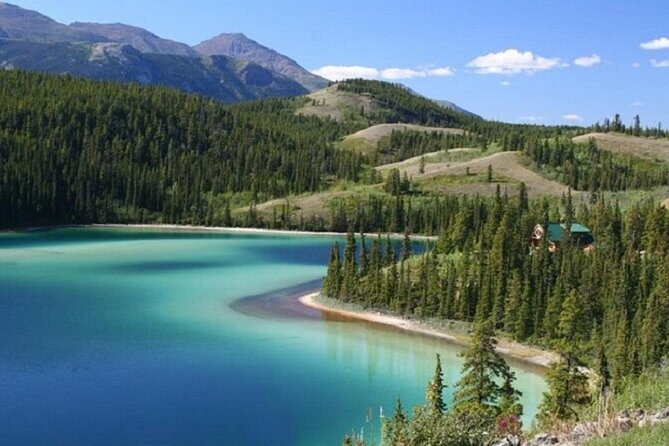 Wild Adventure Yukon Tour into Canada including City and Summit - Key takeaways before you go