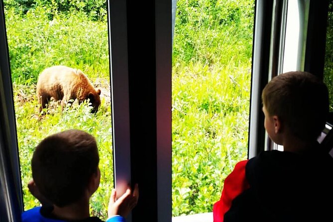 Wild Adventure Yukon Tour into Canada including City and Summit - Value and the $169 price: what you’re really paying for
