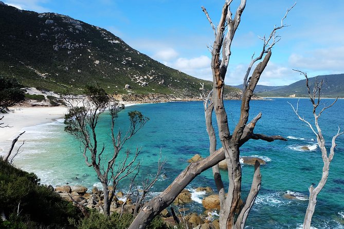 Wilsons Promontory Hiking Day Tour - 8 Person Max Small Group - Squeaky Beach: white quartz sand that makes noise