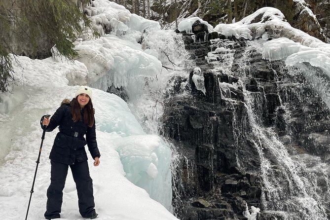 Winter Valley and Forest Hike - Price and value: what you get for $179