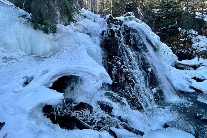 Winter Valley and Forest Hike - Gear check: traction, poles, and the part people forget