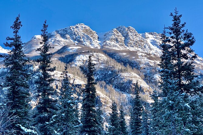 Winter Valley and Forest Hike - Fitness reality: moderate level, but snow makes it harder
