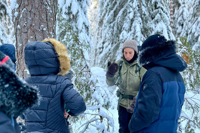 Winter Wonderland Hike in a National Park - From Kiasma to the trailhead: getting there without stress