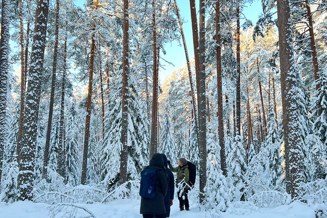 Winter Wonderland Hike in a National Park - The heated hut lunch: Finnish comfort food, no cafeteria vibes