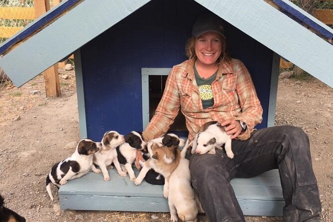 Yukon Husky Puppy Play Time & Summit Tour - Broadway to the Klondike Highway: Gold Rush Storytelling You Can Use