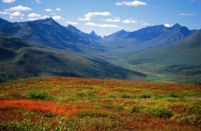 Yukon Suspension Bridge and Summit Tour - Key highlights to know before you go