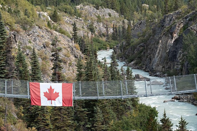 Yukon Suspension Bridge and Summit Tour - White Pass Summit plus the bridge: why this combo works