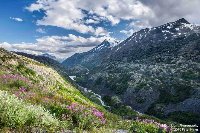 Yukon Suspension Bridge and Summit Tour - The Yukon Suspension Bridge: timing, what to do on-site, and the views down to the Tutshi