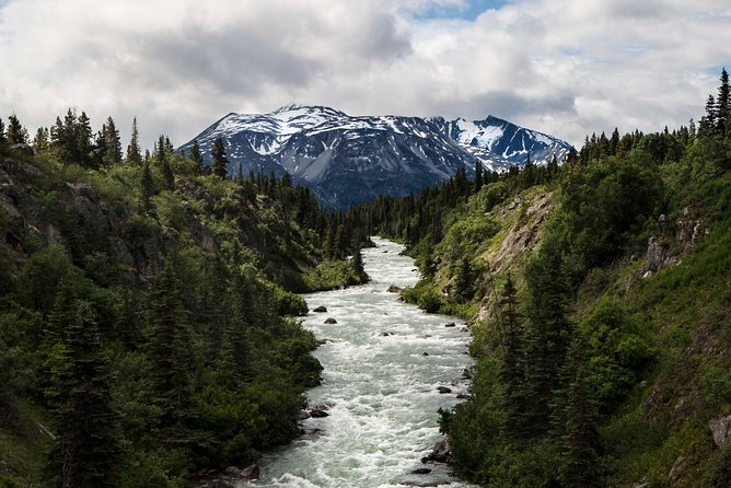 Yukon Suspension Bridge and Summit Tour - The guide makes the day: Gold Rush stories, natural history, and real photo help