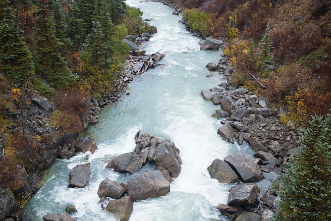 Yukon Suspension Bridge and Summit Tour - Price and value: what $136 buys you in a 3-hour window