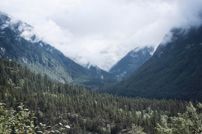 Yukon Suspension Bridge and Summit Tour - Who this tour fits best (and who might prefer something else)