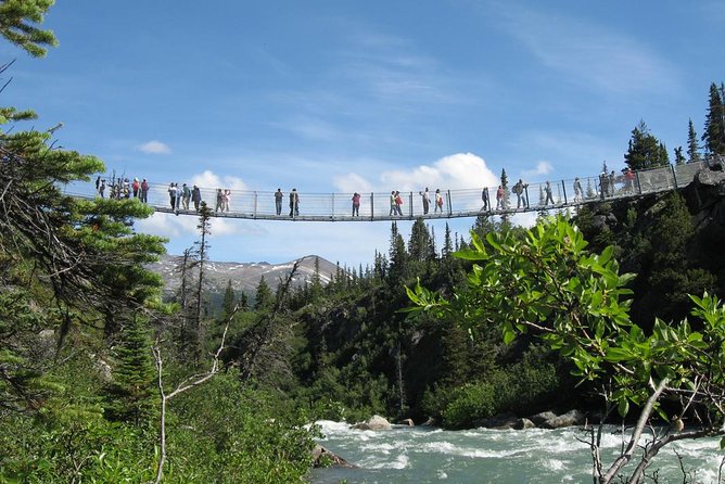 Yukon Suspension Bridge and Summit Tour - From the historic district to the Chilkoot Mountains: the ride and Bernard Lake