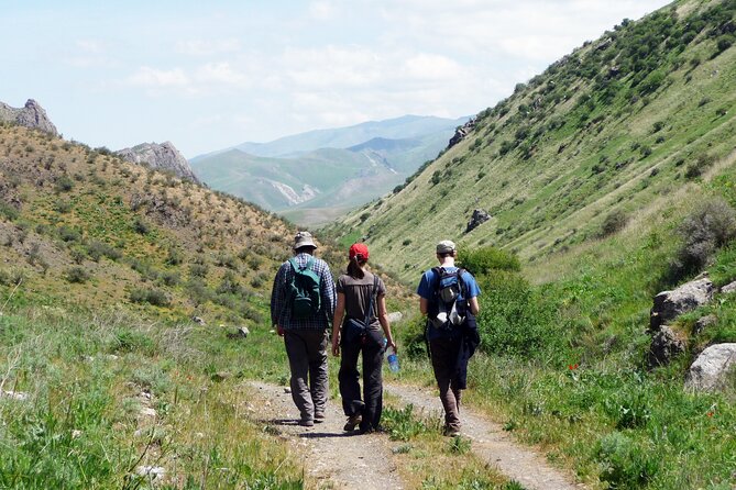 Yurt stay and Hiking in the Nurata Mountains tour - 2 days - Leaving Samarkand: the day starts with a long but worthwhile drive